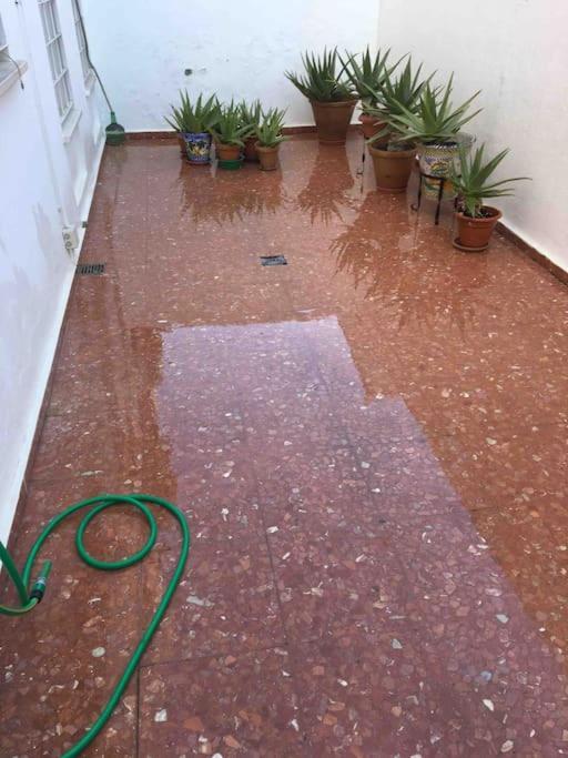 Casa Soleada En Calle Tranquila セビリア エクステリア 写真