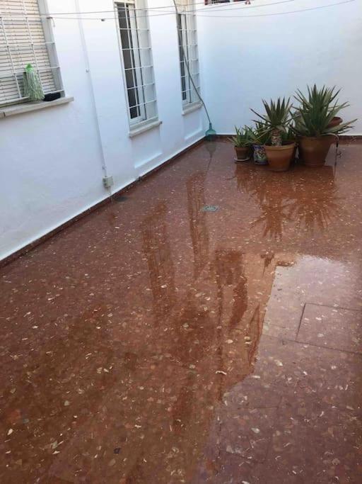 Casa Soleada En Calle Tranquila セビリア エクステリア 写真