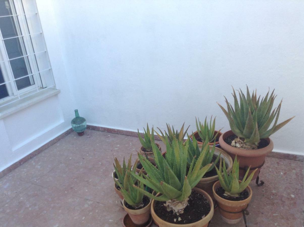 Casa Soleada En Calle Tranquila セビリア エクステリア 写真